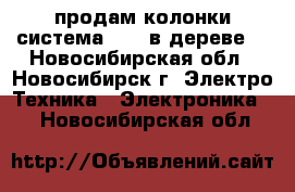 продам колонки система 5-1. в дереве. - Новосибирская обл., Новосибирск г. Электро-Техника » Электроника   . Новосибирская обл.